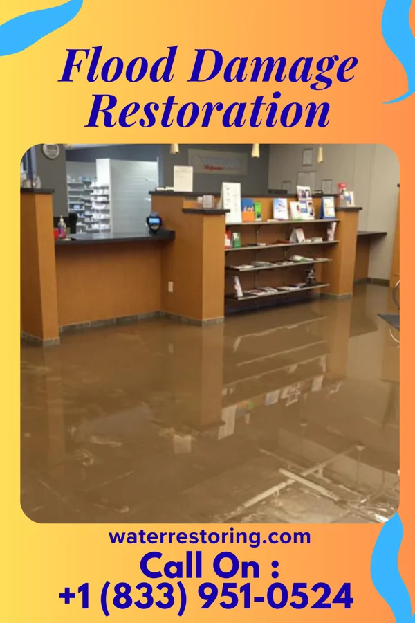 Flood Damage Restoration in Coal Run Village, KY