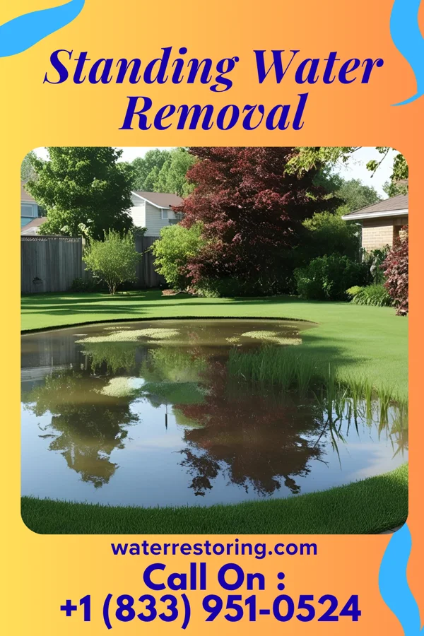 Standing Water Removal in Coal Run Village, KY